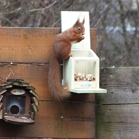 Woodburn Ground-Floor Apartment In Quiet Setting In Pitlochry Exteriör bild